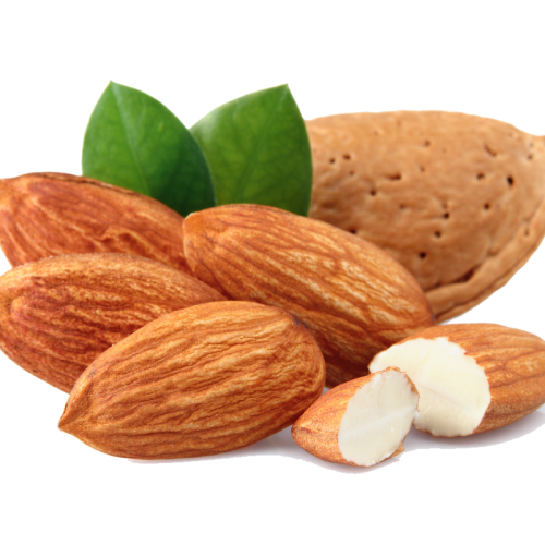 Almond-Free-Download-PNG.png
