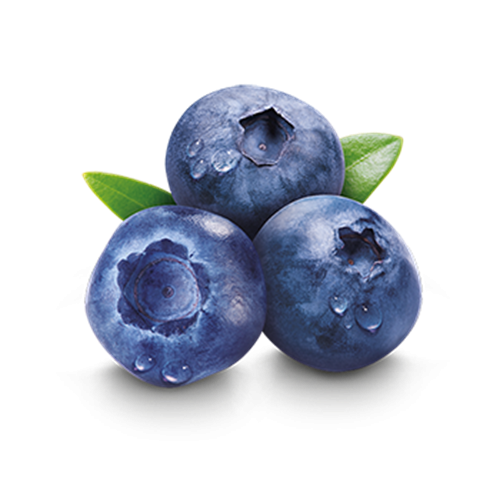 blueberry-1.png